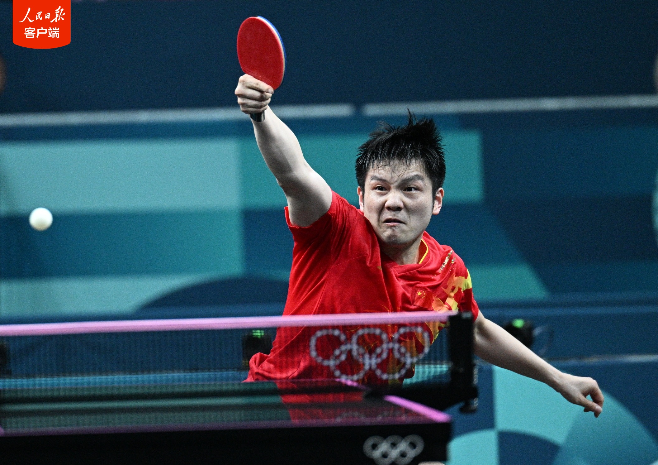 包含波兰乒乓球队横扫日本乒乓球队，樊振东高光表现的词条