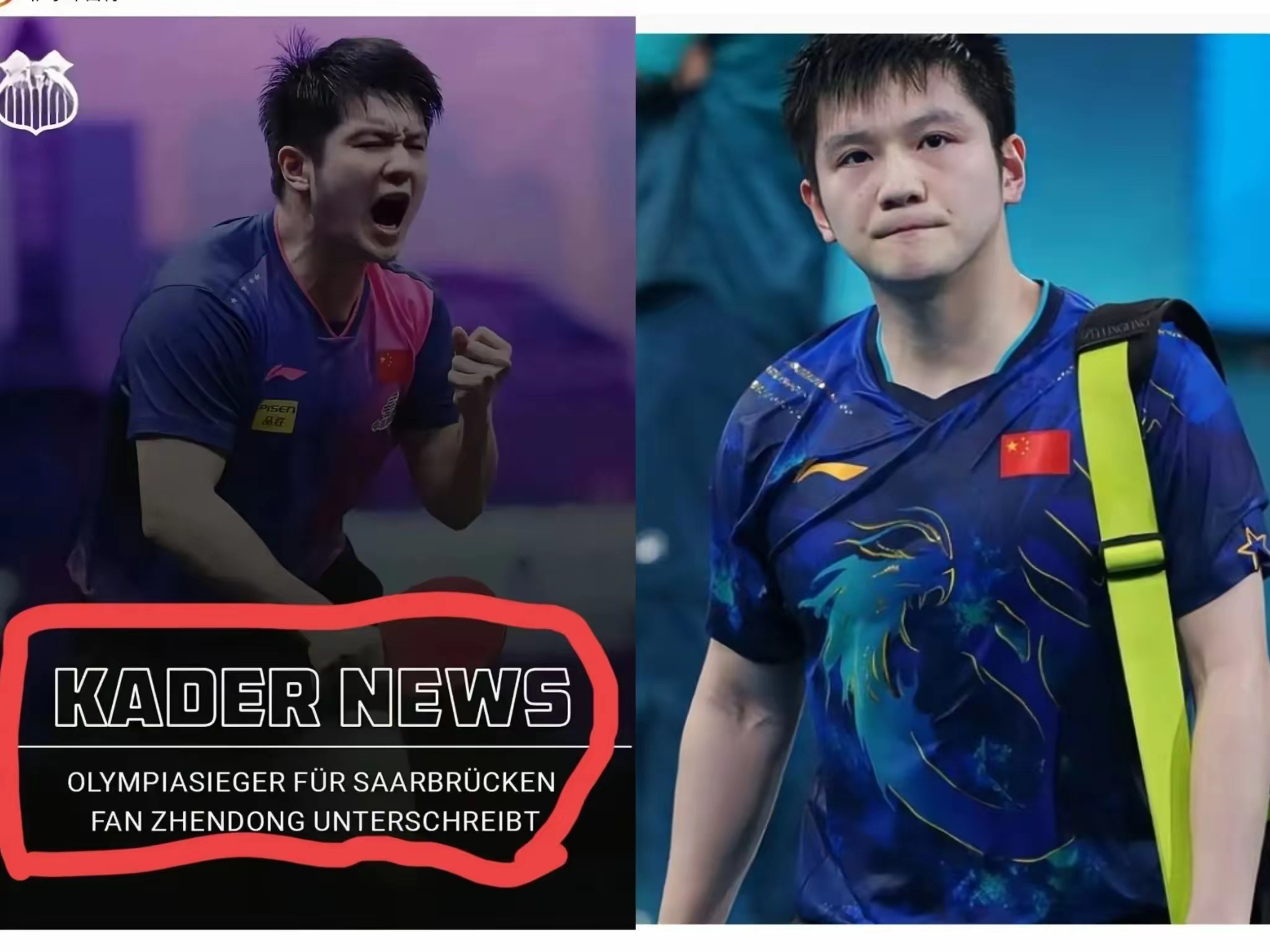 德国队绝杀韩国队,樊振东扛起全队 德国队绝杀韩国队,樊振东扛起全队