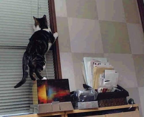 加时鏖战显真章,乔治一剑封喉定乾坤—活塞力克上海队纪实