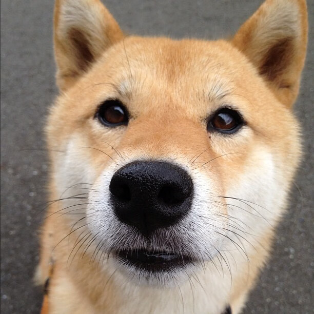 库里魔法失灵?热火加时鏖战擒火箭,团队节奏新启示