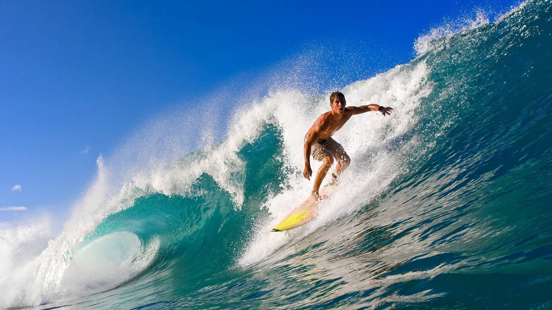 从密尔沃基到洛杉矶，再到世界之巅，当雄鹿鏖战快船的基因注入2026世界杯的伦纳德