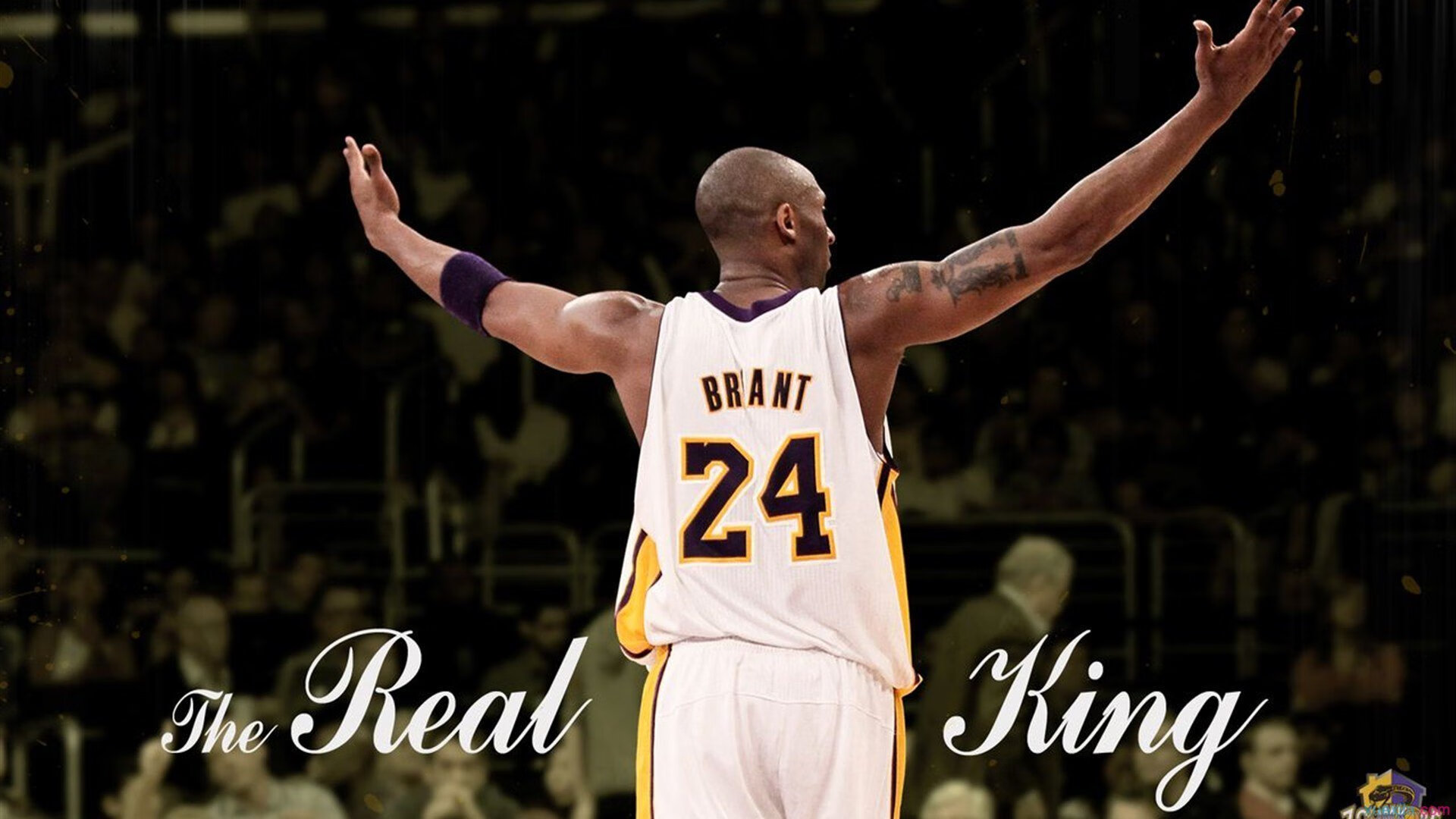 教科书级的领袖，苏亚雷斯关键战导演厄瓜多尔突围塞维利亚